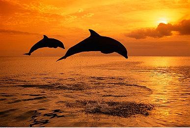 外媒评10款让玩家爱不释手的沙盒游戏 《艾尔登法环》等